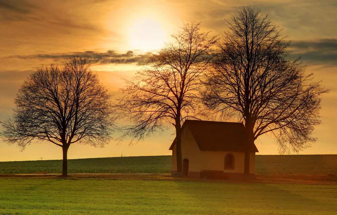 Photo wallpaper field, trees, sunset, house