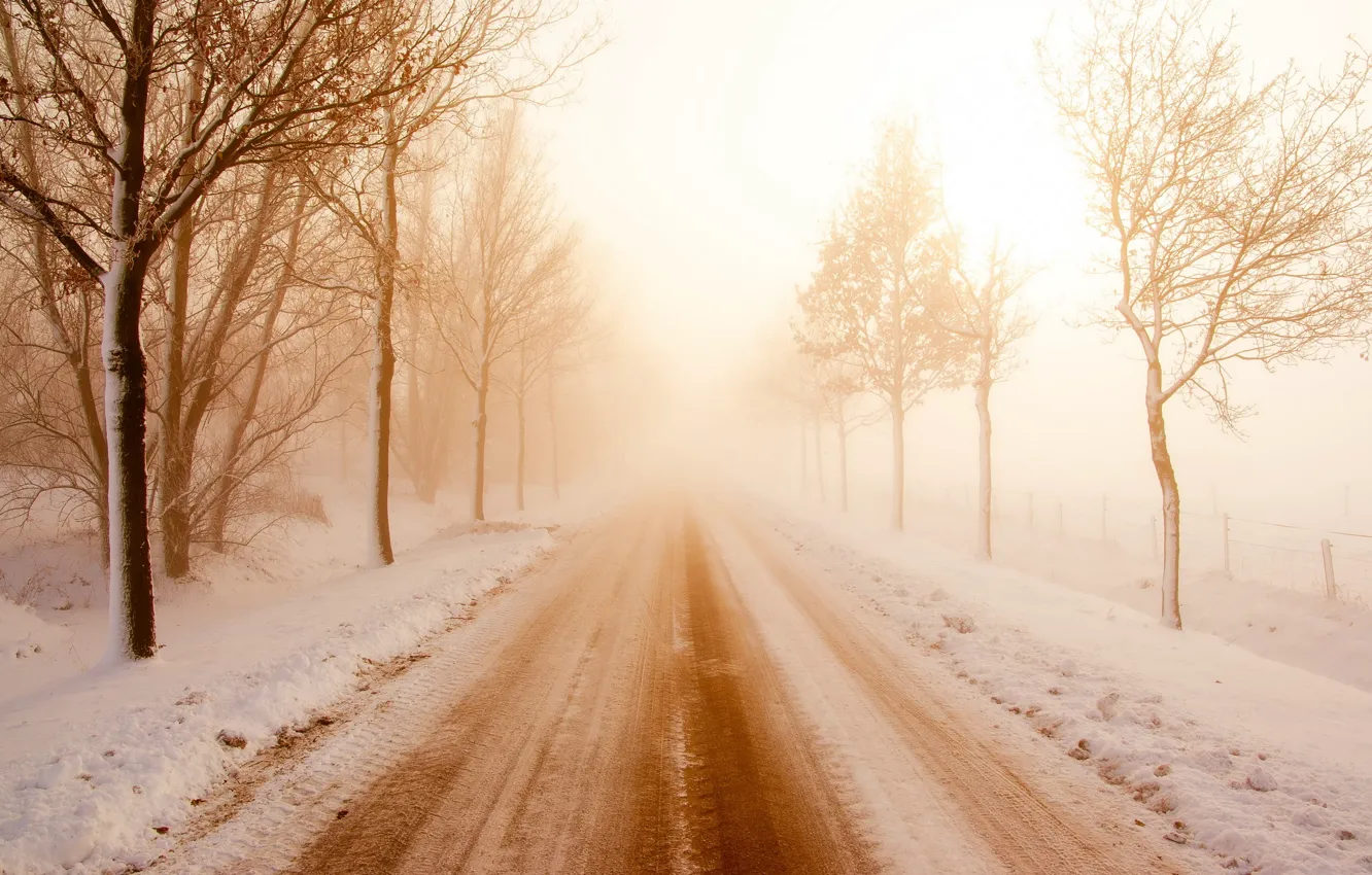 Photo wallpaper road, snow, fog