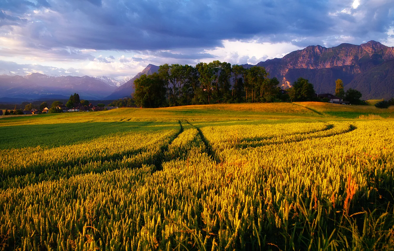 Photo wallpaper field, the sky, mountains, Alps