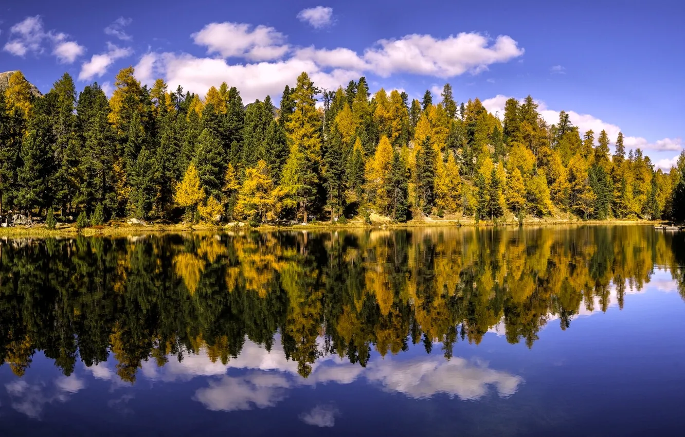 Photo wallpaper autumn, forest, trees, lake, reflection, Switzerland, Switzerland, the Canton of Grisons