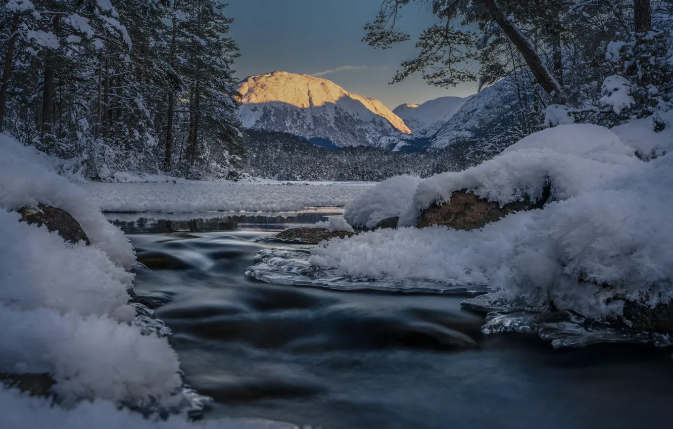 Photo wallpaper winter, forest, snow, mountains, river, Norway