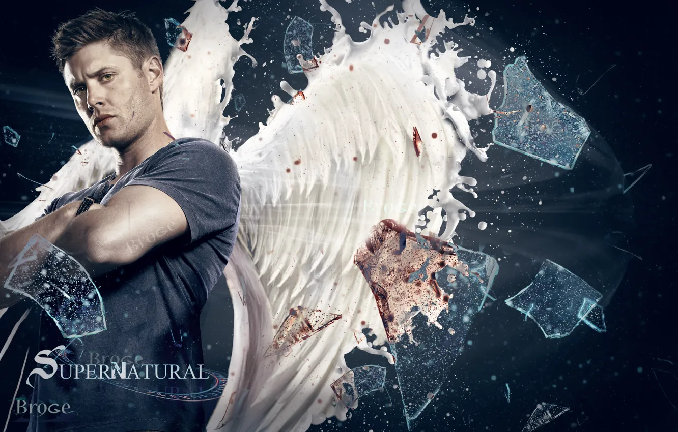 Photo wallpaper look, wings, Dean, Supernatural, Supernatural