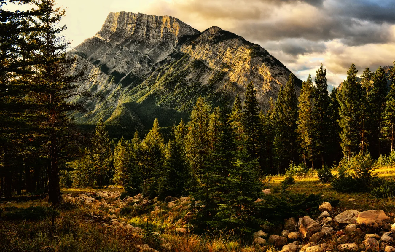 Photo wallpaper trees, mountains, nature, Banff, Jeff R. Clow