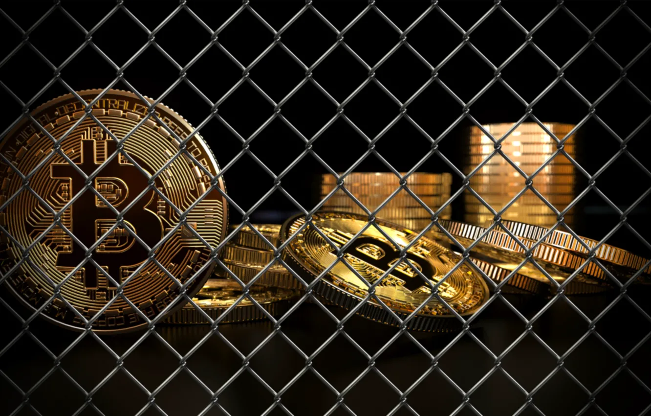 Photo wallpaper mesh, grid, ban, coins, bitcoin, bitcoin, btc