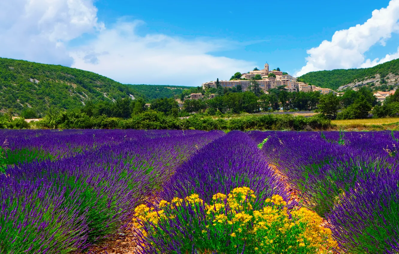 Photo wallpaper field, the sky, clouds, the city, France, lavender, Provence, municipality