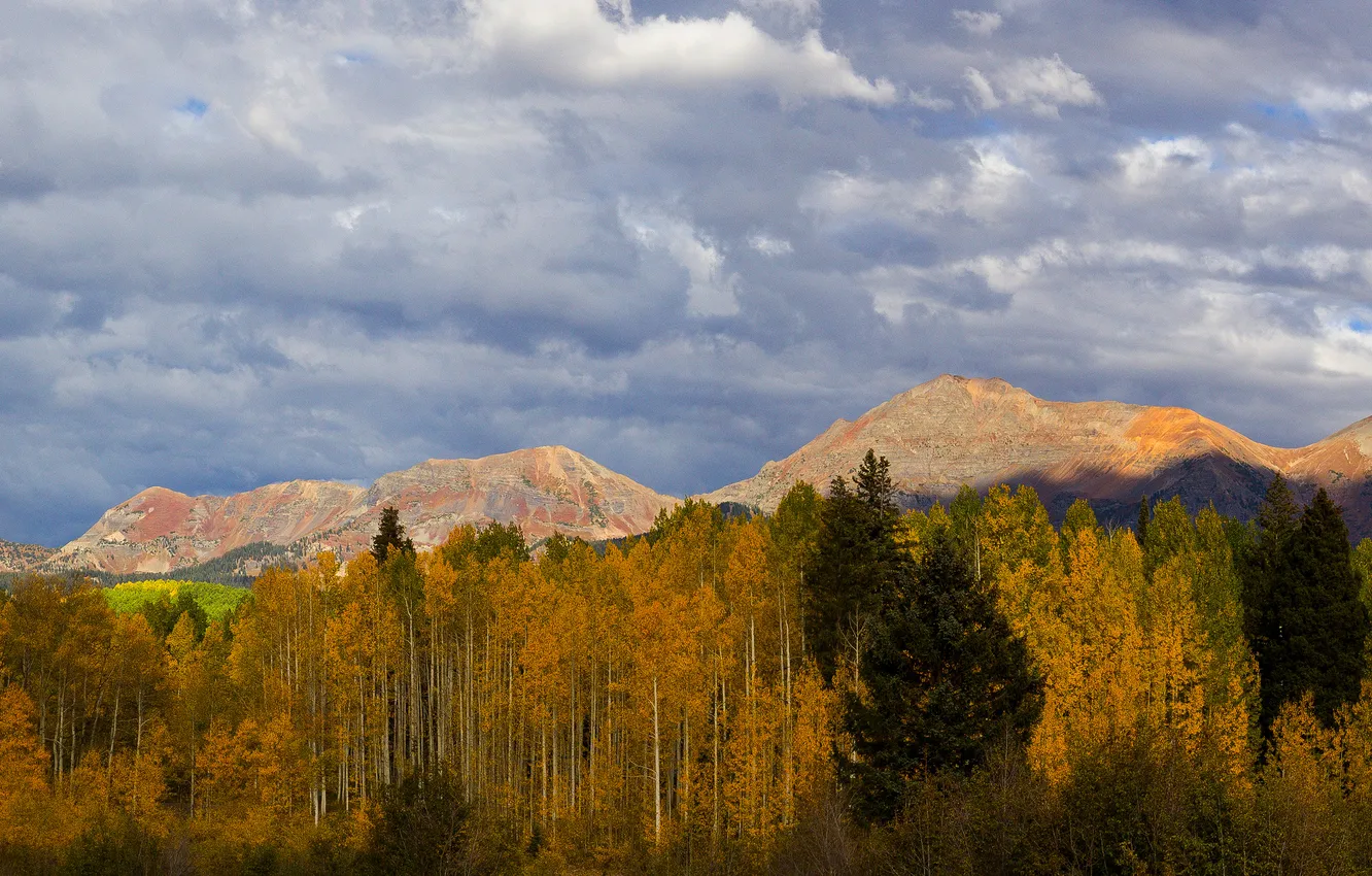 Photo wallpaper autumn, forest, clouds, mountains
