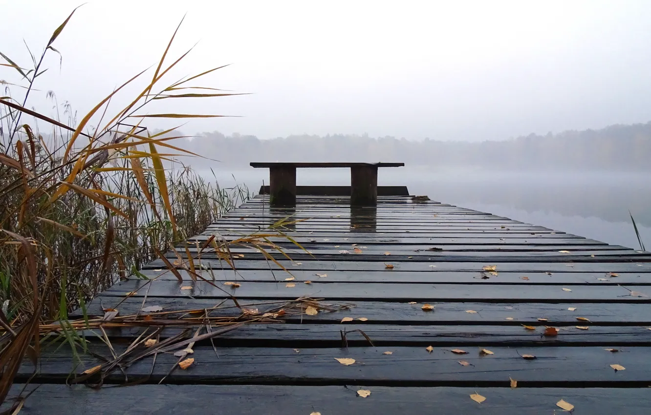 Photo wallpaper bridge, reed, bench