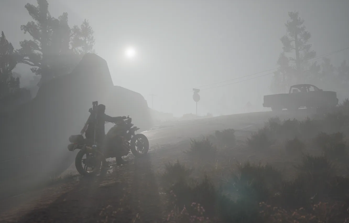 Photo wallpaper road, fog, stones, motorcycle, male, biker, postapokalipsis, computer game