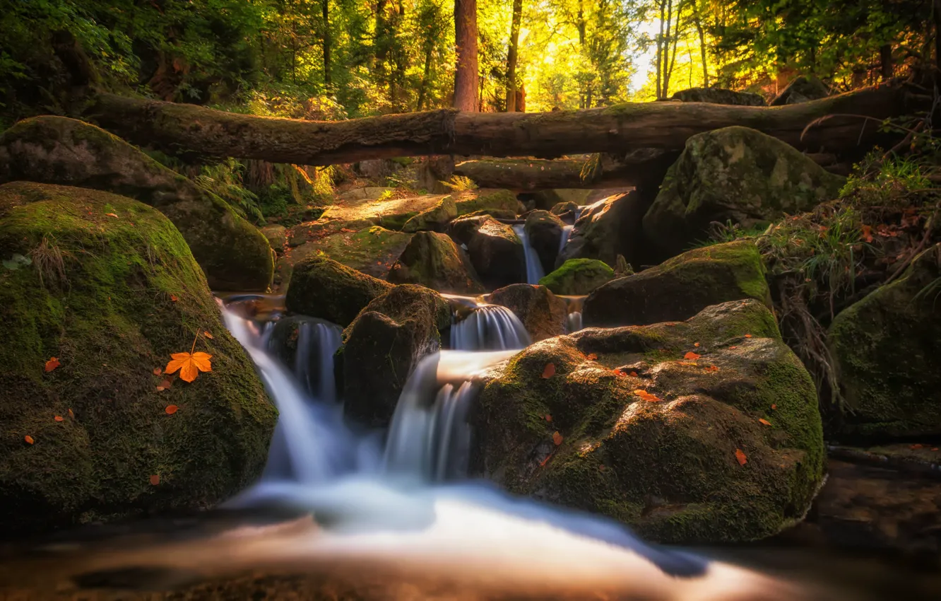 Photo wallpaper autumn, leaves, trees, landscape, nature, stones, waterfall, river