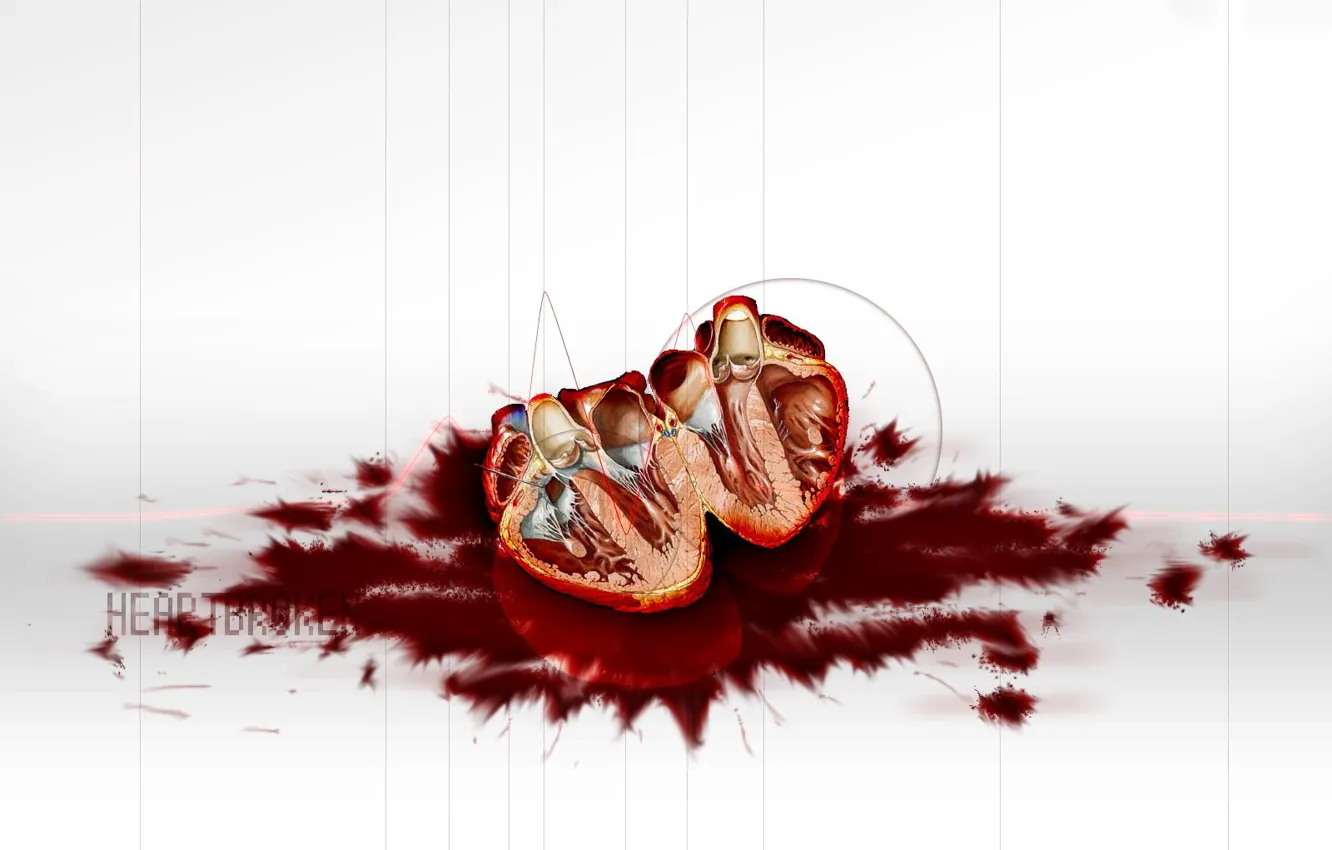 Photo wallpaper blood, Heart, the cut
