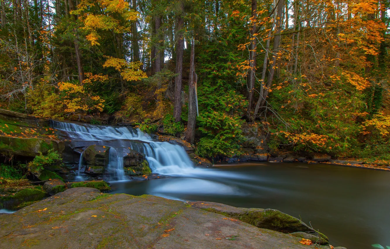Photo wallpaper autumn, forest, trees, river, waterfall, Canada, Canada, British Columbia