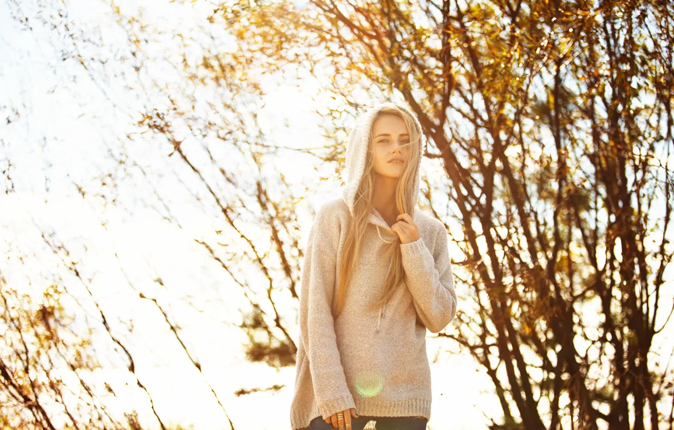 Photo wallpaper look, face, background, model, hair, Cape, Alena