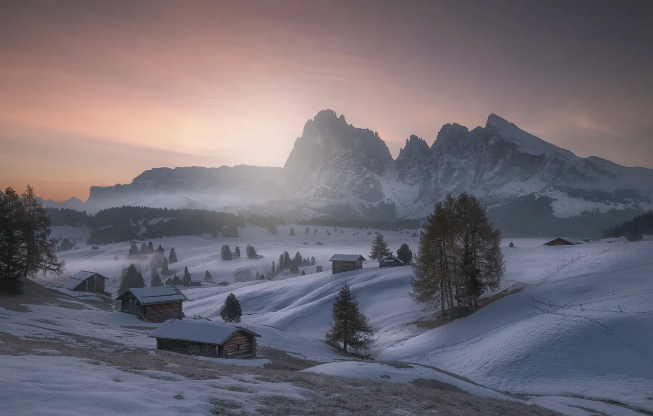 Photo wallpaper winter, field, forest, the sky, light, snow, trees, mountains