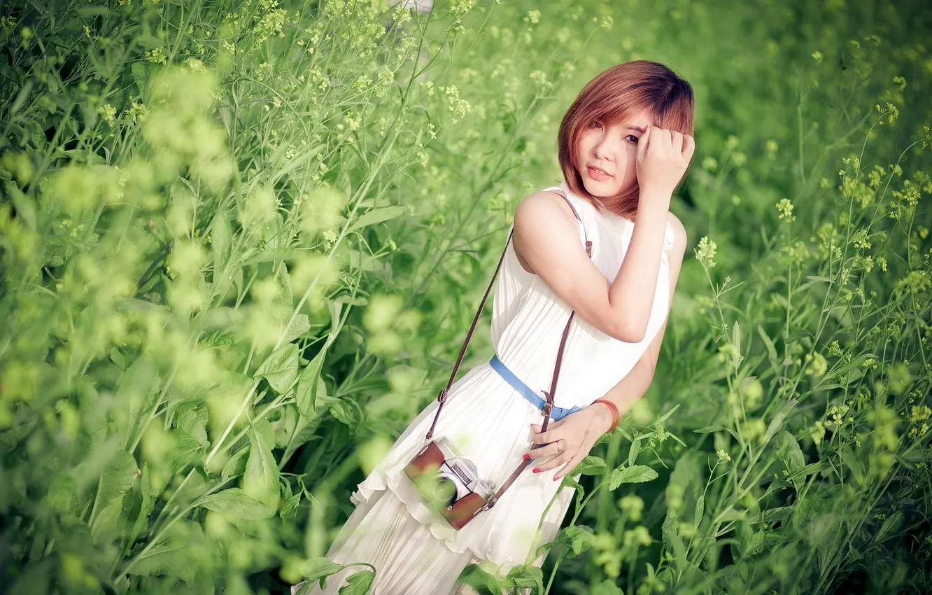 Photo wallpaper field, girl, the camera