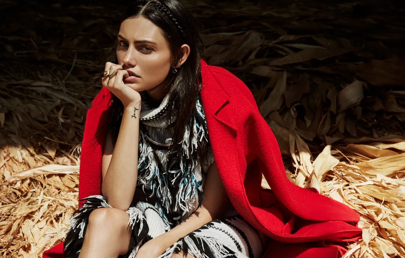 Photo wallpaper actress, Phoebe Tonkin, Phoebe Tonkin