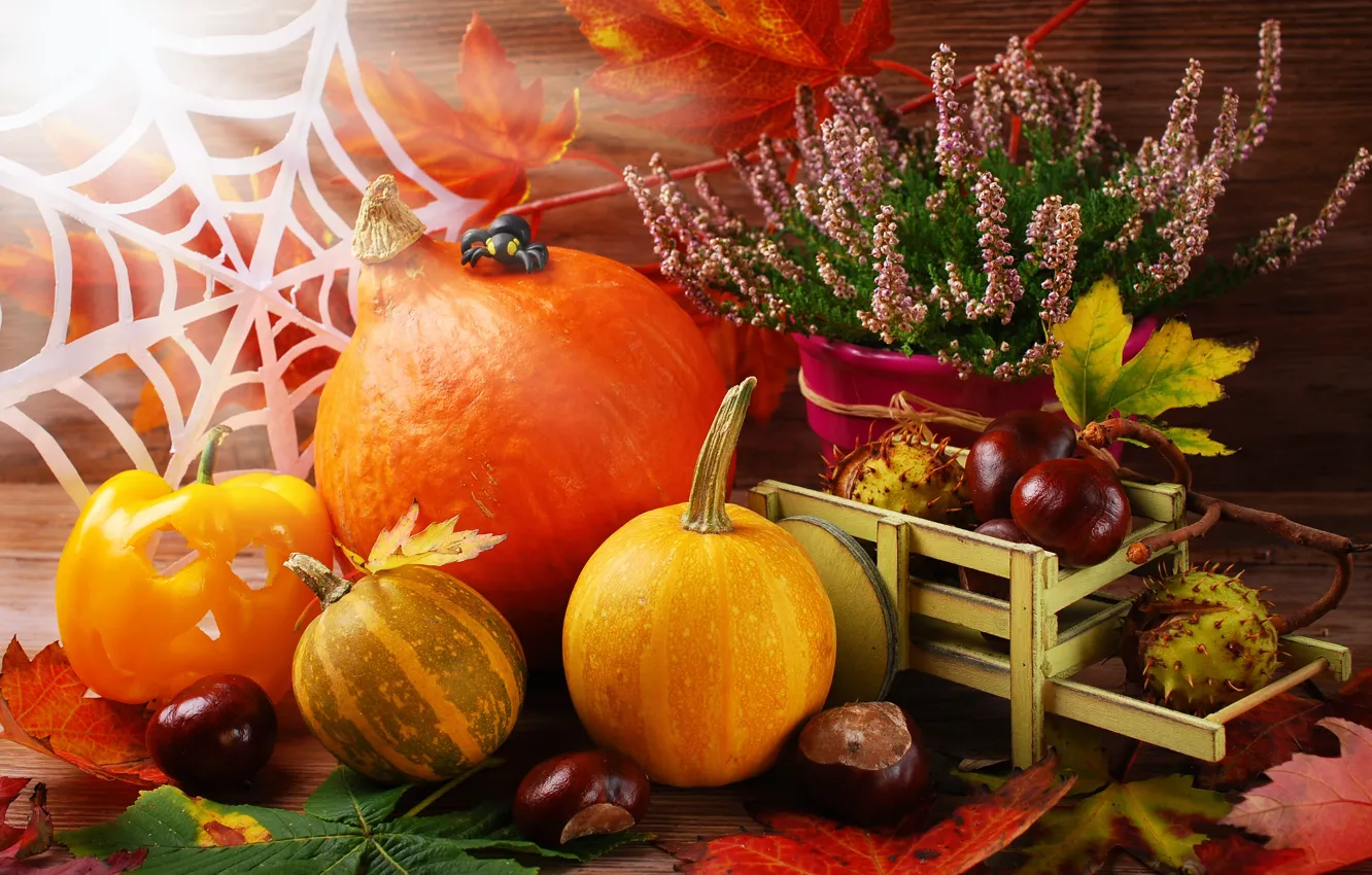 Photo wallpaper autumn, leaves, harvest, pumpkin, autumn, leaves, still life, pumpkin