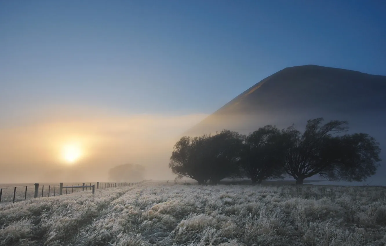 Photo wallpaper frost, the sun, trees, landscape, nature, fog, hills, the fence