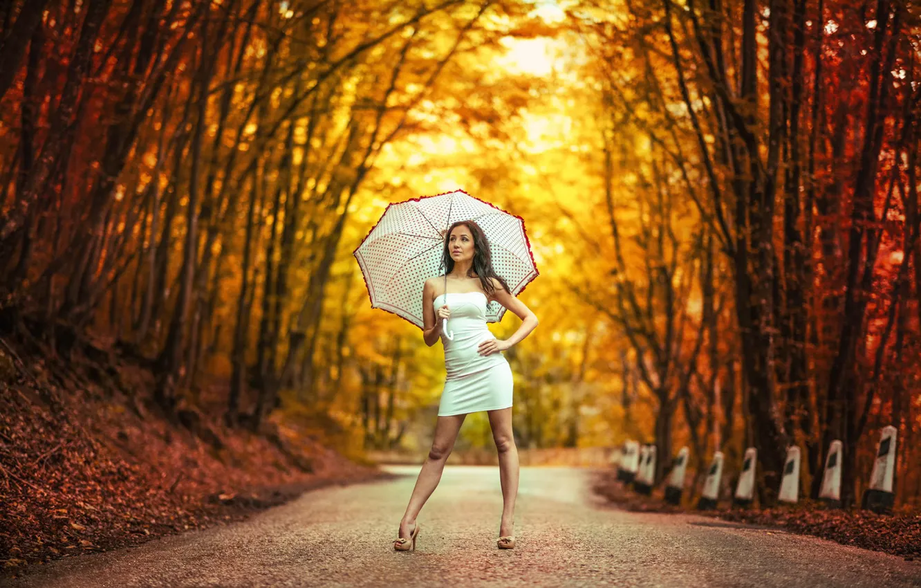 Photo wallpaper girl, umbrella, dress, bokeh, Road in autumn