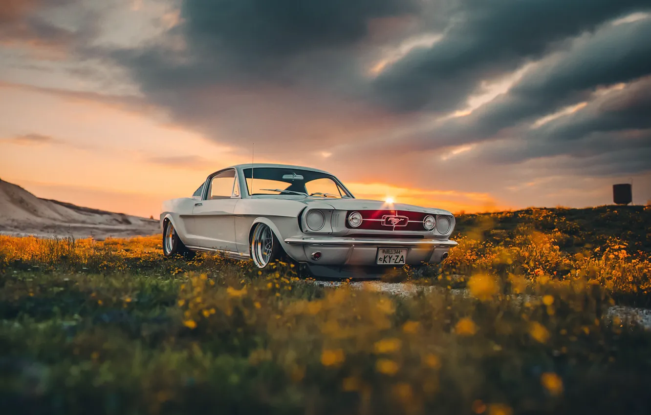 Photo wallpaper Mustang, Ford, Shelby, Car, Sun, GT350