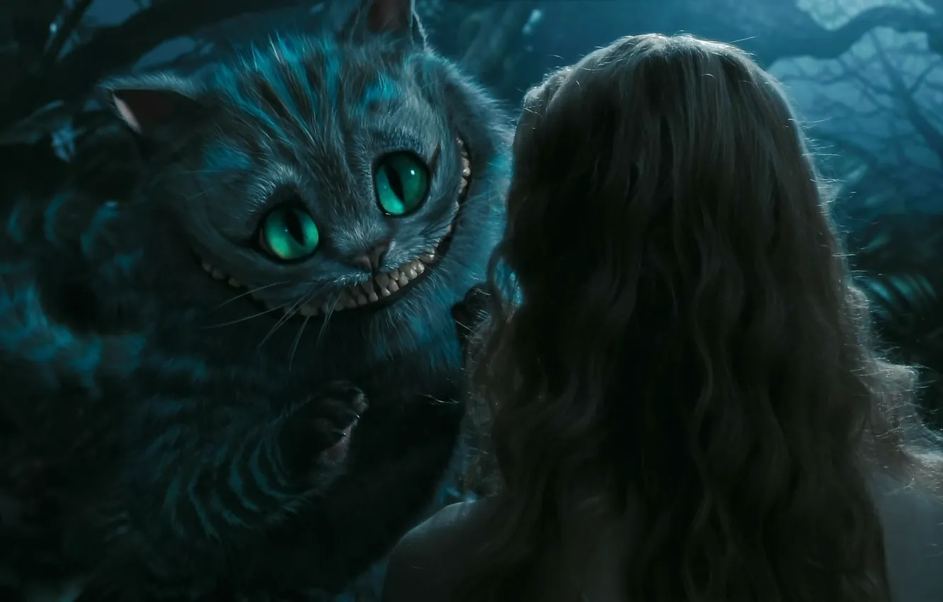 Photo wallpaper cat, hat, Alice in Wonderland, Cheshire cat, Cheshire