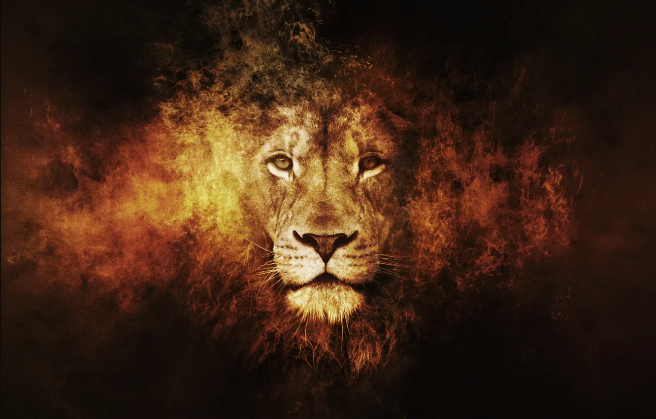 Photo wallpaper Leo, fantasy, animals, lion