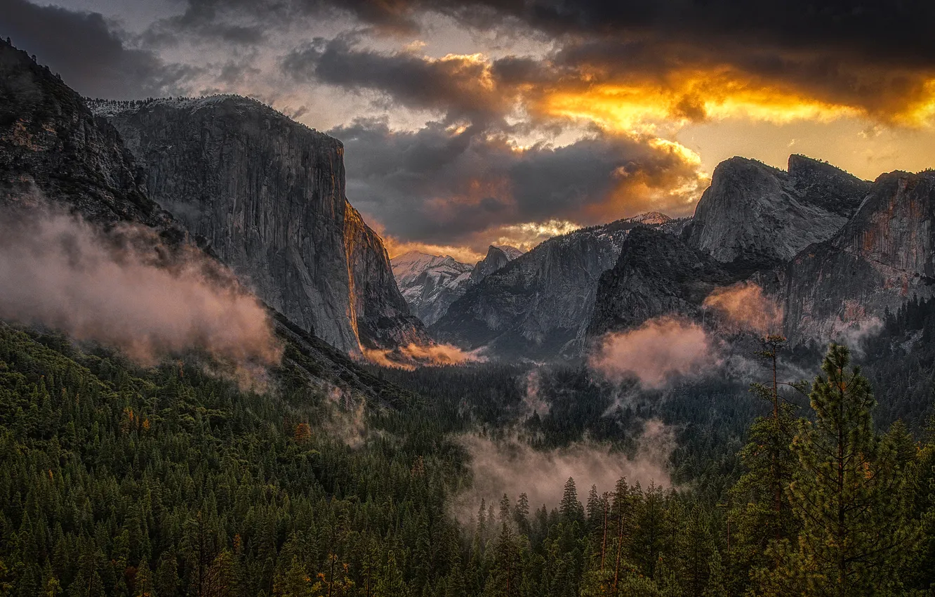 Photo wallpaper forest, the sky, sunset, mountains, clouds