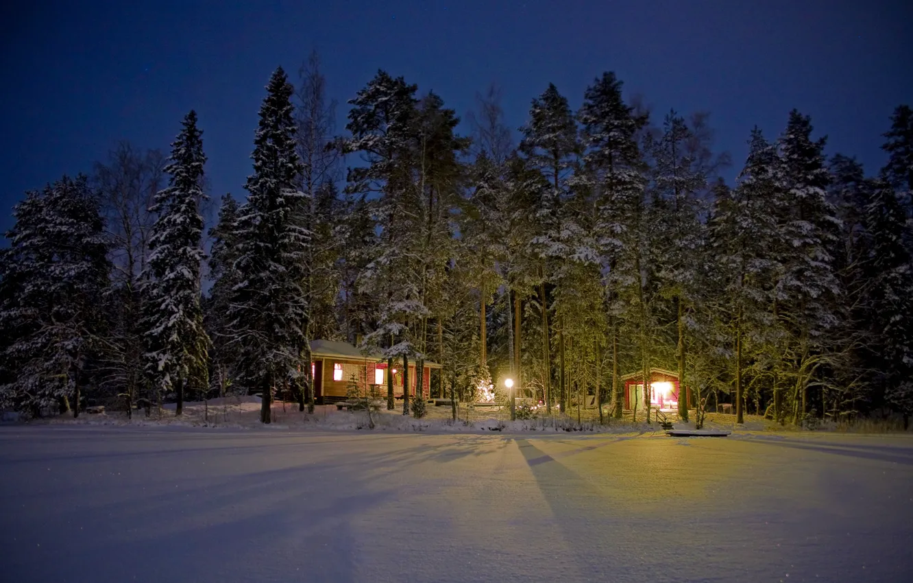 Photo wallpaper winter, forest, light, snow, trees, night, lights, houses