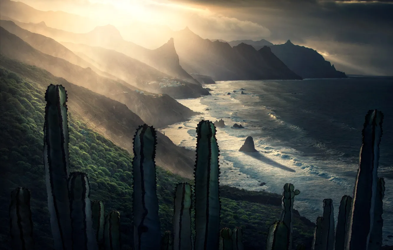 Photo wallpaper light, mountains, the ocean, rocks, cactus