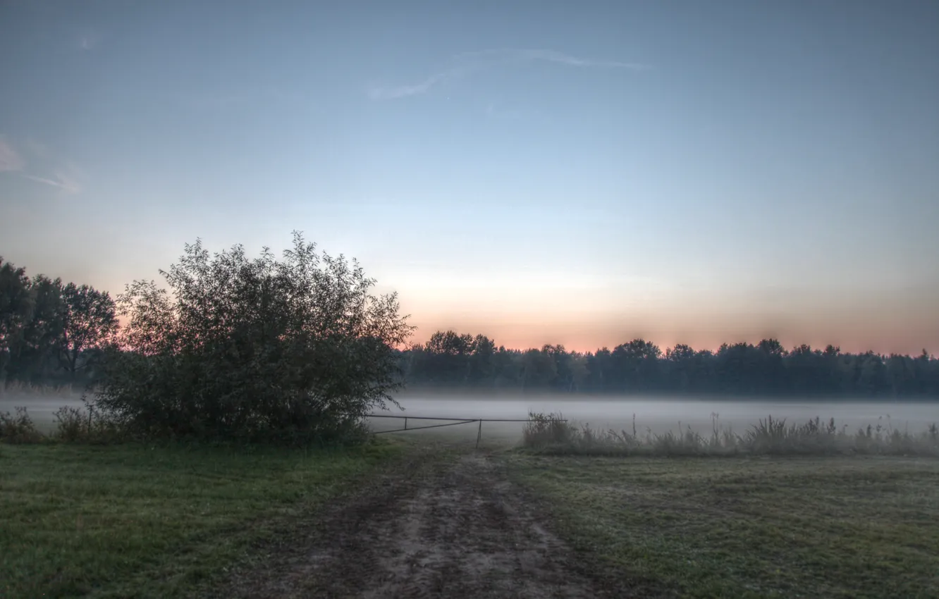 Photo wallpaper field, nature, fog, morning, field, nature, morning, fog
