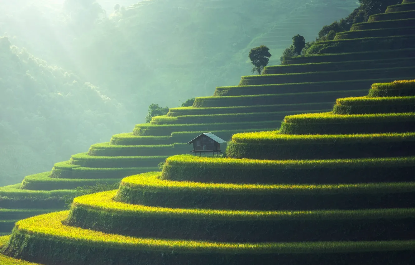 Photo wallpaper Asia, house, terrace, rice fields
