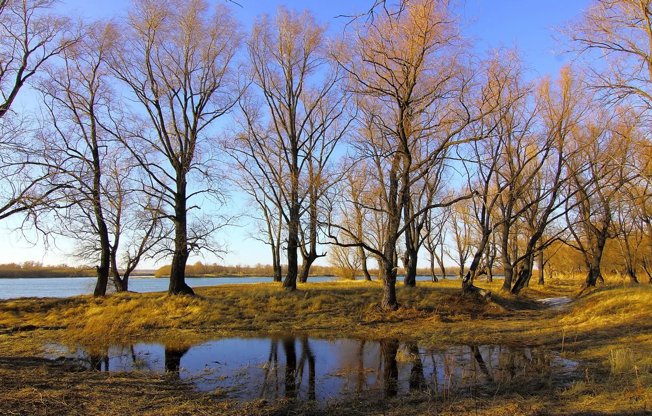 Photo wallpaper autumn, trees, river