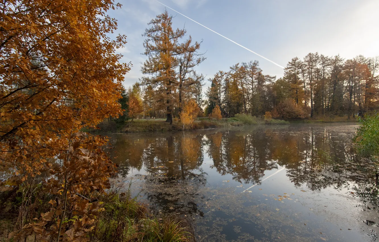 Photo wallpaper trees, pond, the reflection in the water, yellow foliage, Georgy Sapozhnikov, Mirror Autumn