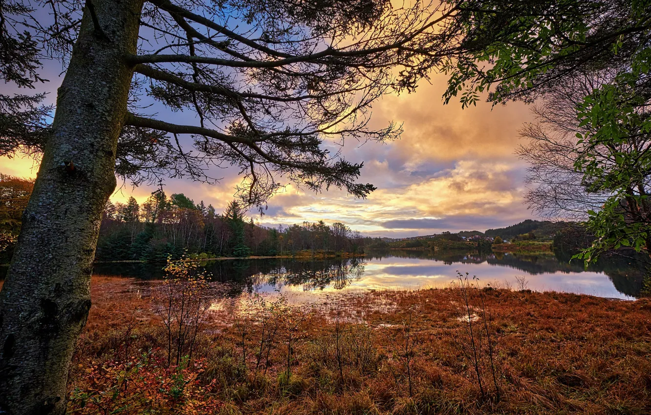 Photo wallpaper autumn, Norway, Norway, Rogaland