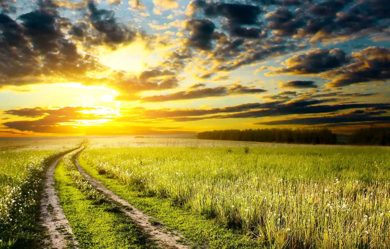 Photo wallpaper road, the sky, grass, the sun, clouds, sunset, nature, photo