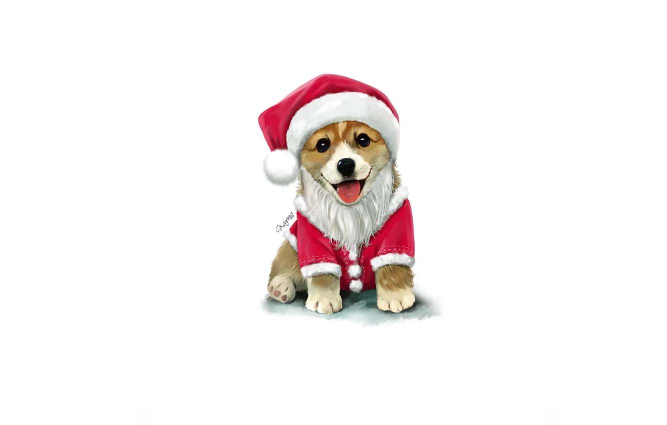 Photo wallpaper language, look, holiday, dog, costume, Santa Claus