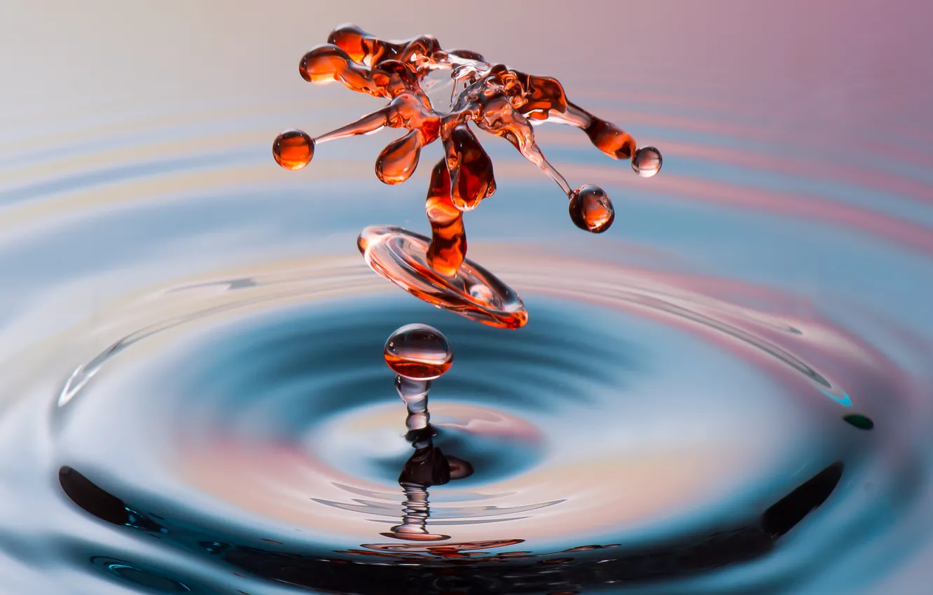 Photo wallpaper water, circles, squirt, color, drop, splash, liquid