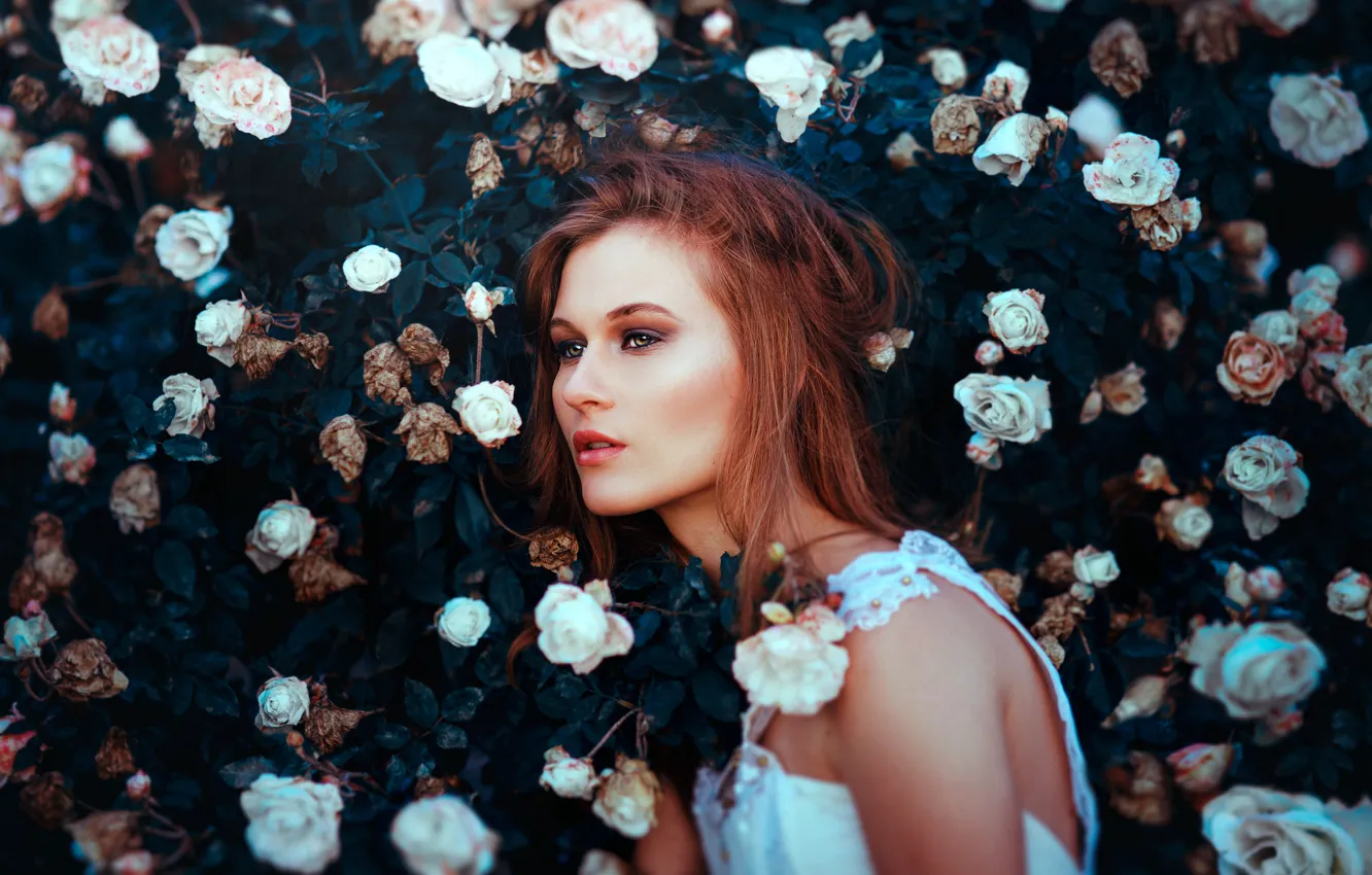 Photo wallpaper girl, face, hair, roses