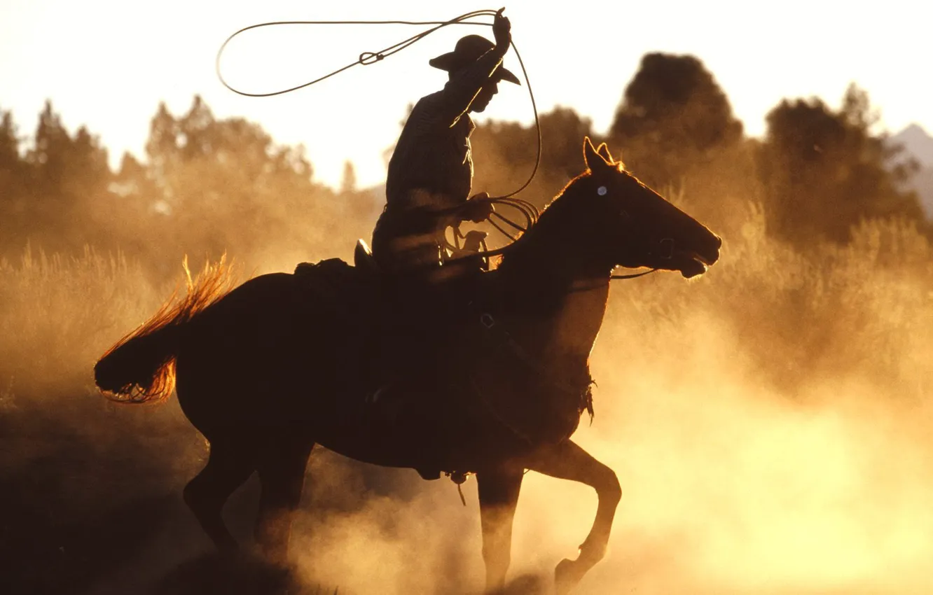 Photo wallpaper horse, cowboy, America