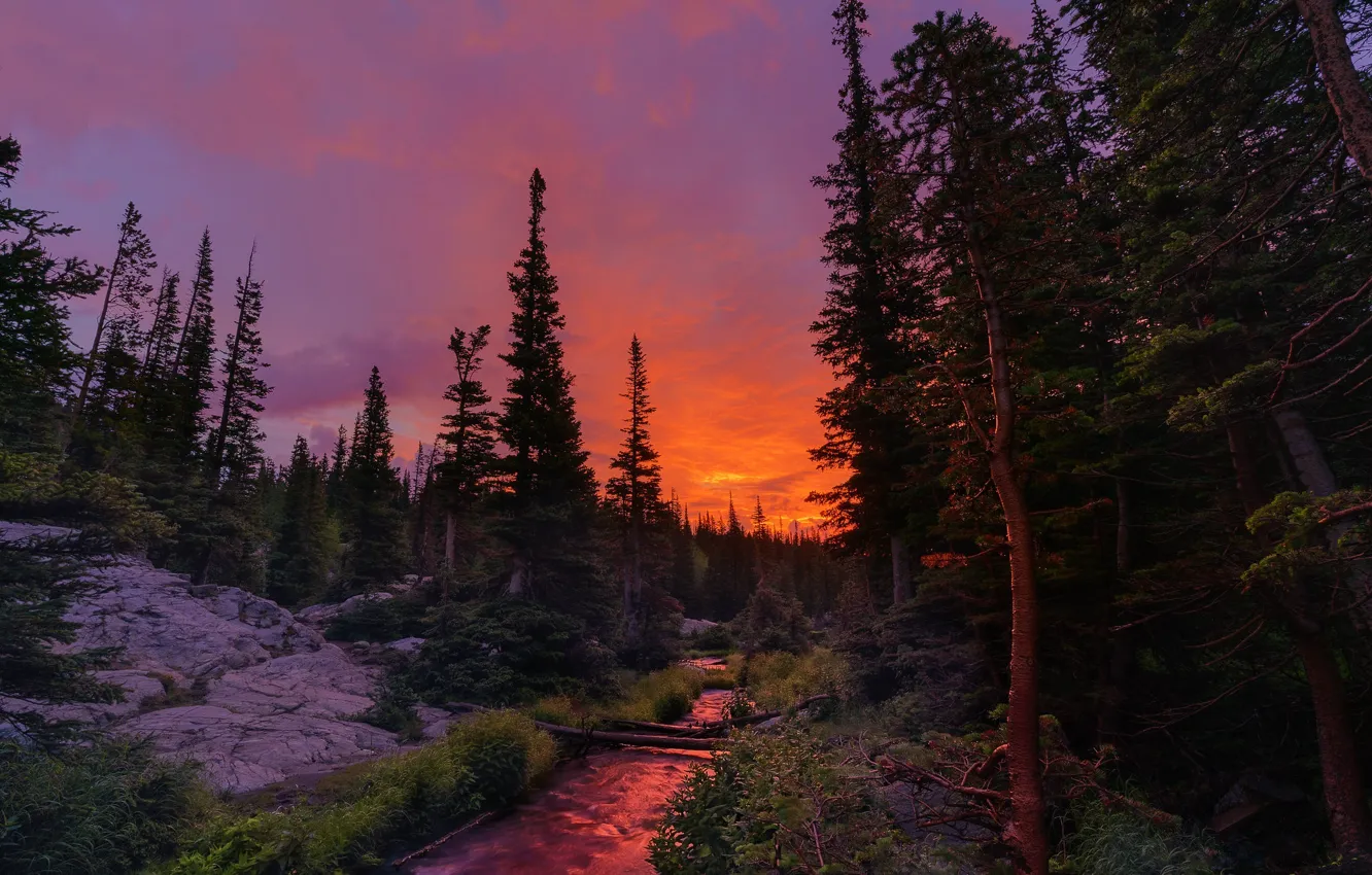 Photo wallpaper forest, the sky, trees, sunset, mountains, stream, rocks, shore