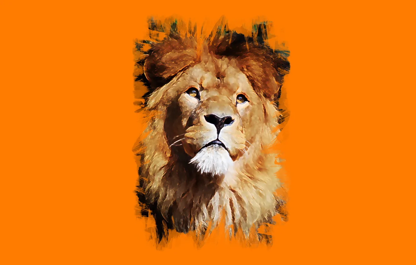 Photo wallpaper look, face, Leo, art