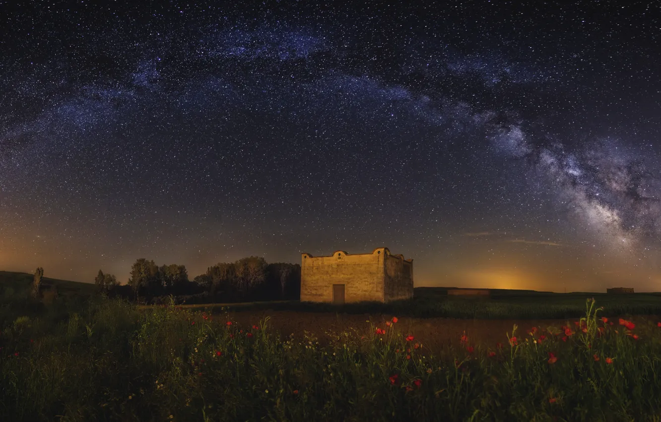 Photo wallpaper field, the sky, stars, flowers, night, the milky way