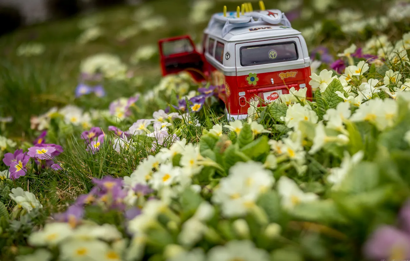 Photo wallpaper toy, spring, machine, Primula