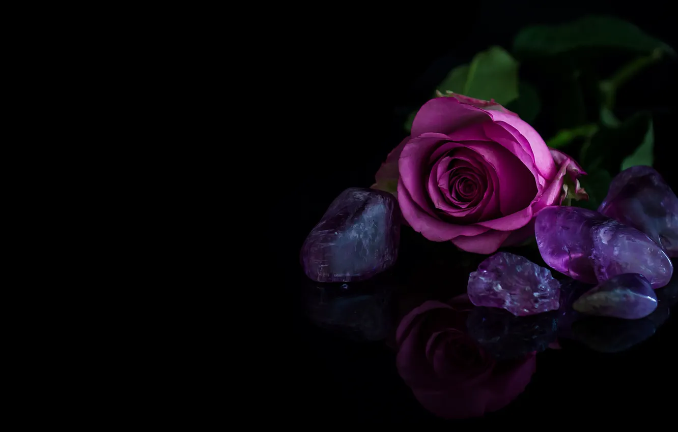 Photo wallpaper roses, purple, minerals