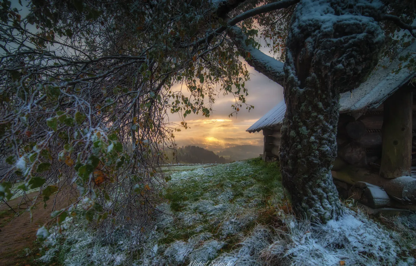 Photo wallpaper frost, road, autumn, landscape, nature, house, tree, dawn