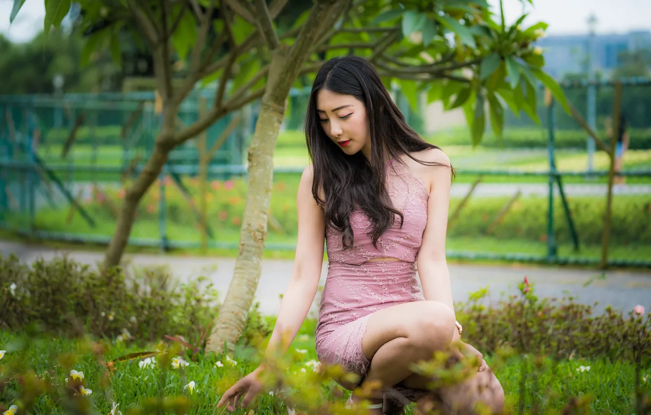 Photo wallpaper grass, girl, sweetheart, Asian, sitting, bokeh