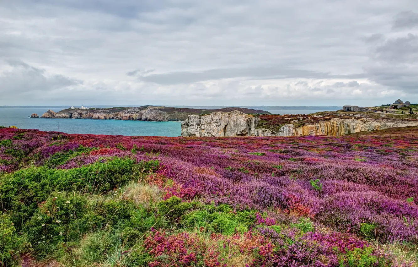 Photo wallpaper sea, the sky, clouds, landscape, flowers, rocks, France, Bretagne