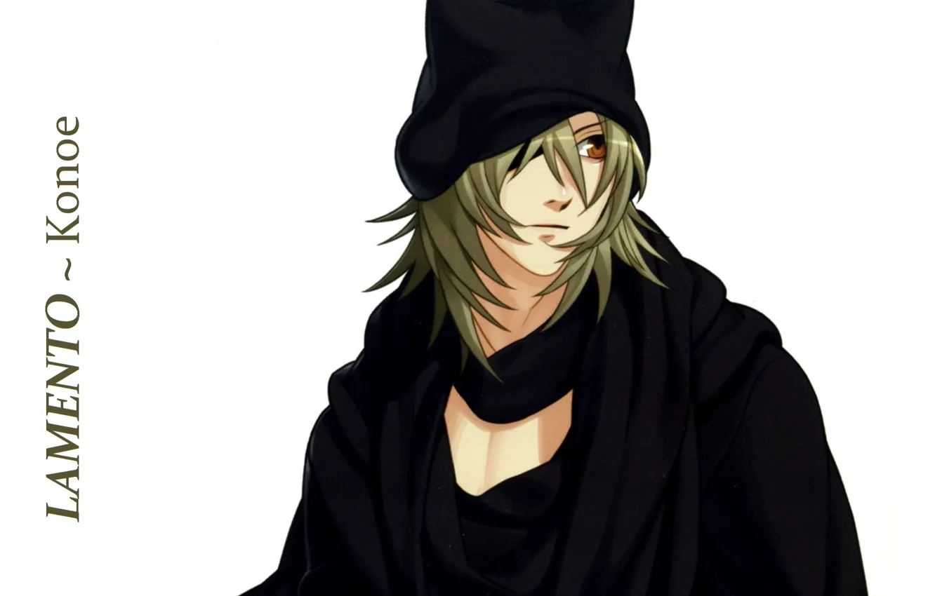 Photo wallpaper the demon, Konoe, visual novel, Lamento, hood with ears, by kazuaki