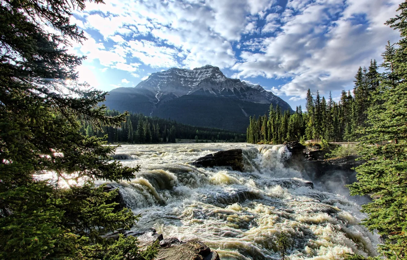 Photo wallpaper forest, the sky, clouds, river, mountain, waterfall, tree