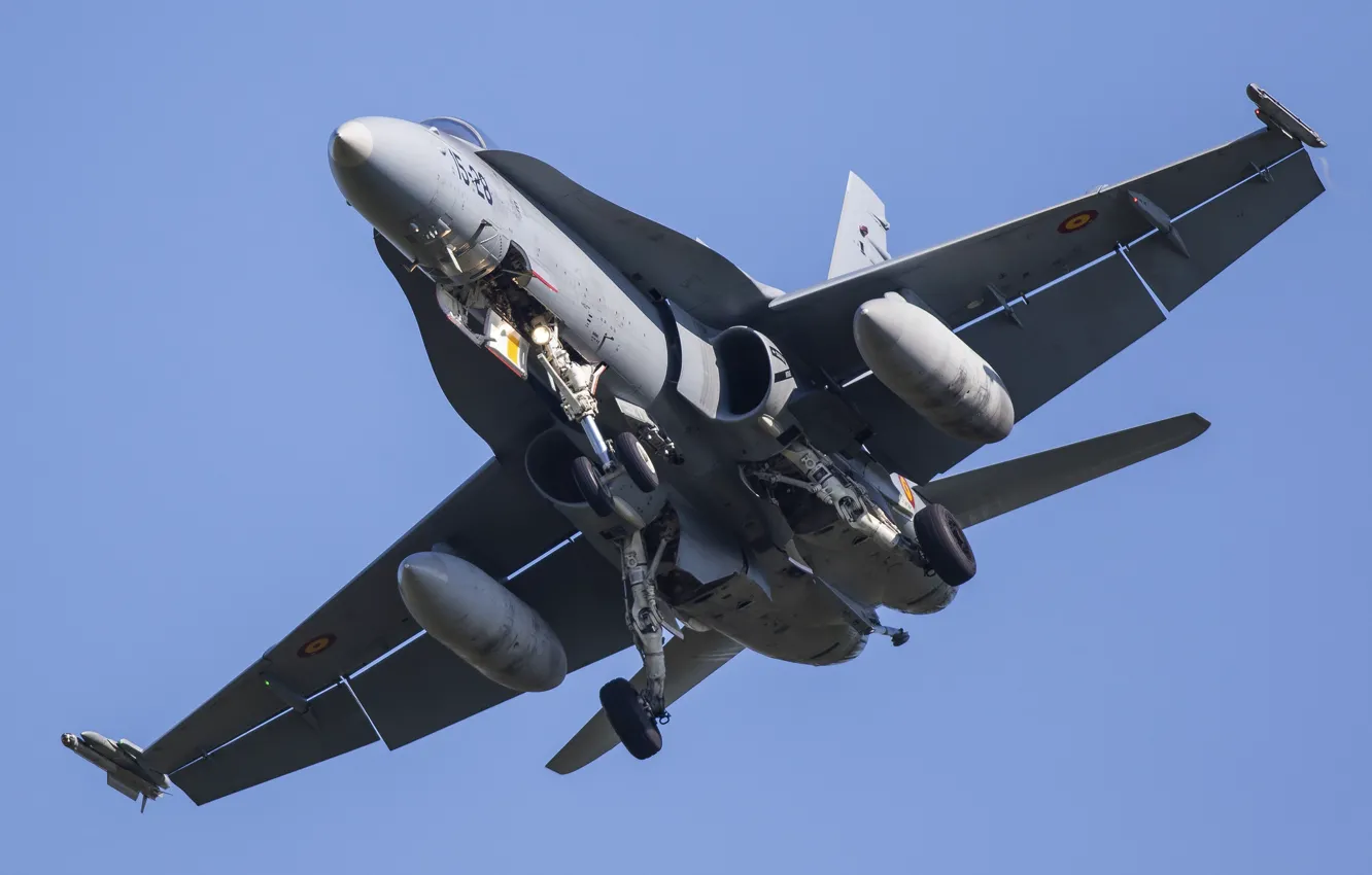 Photo wallpaper Hornet, McDonnell Douglas, EF-18AM