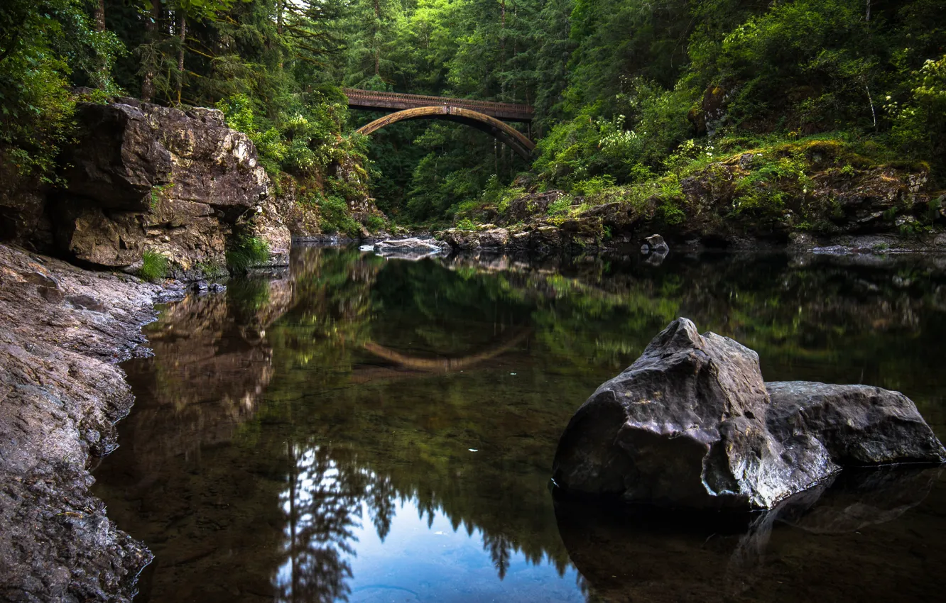 Photo wallpaper forest, bridge, reflection, river, stone, Washington, Washington, river Lewis